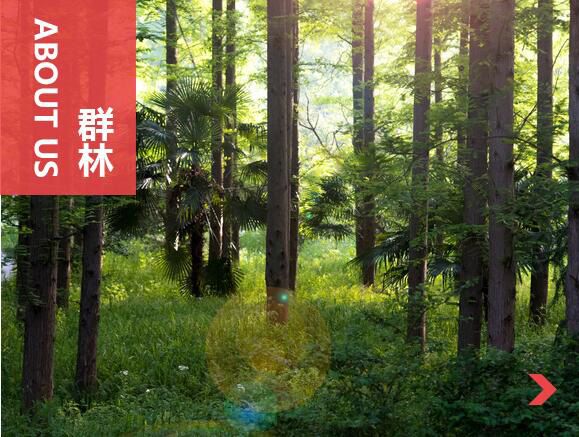 什么叫刨花板？